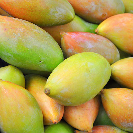 Thotapuri Mango