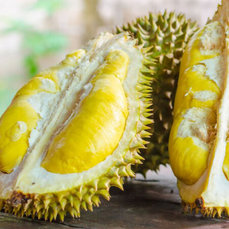 Durian -world’s Smelliest Fruit - Plantsville.in