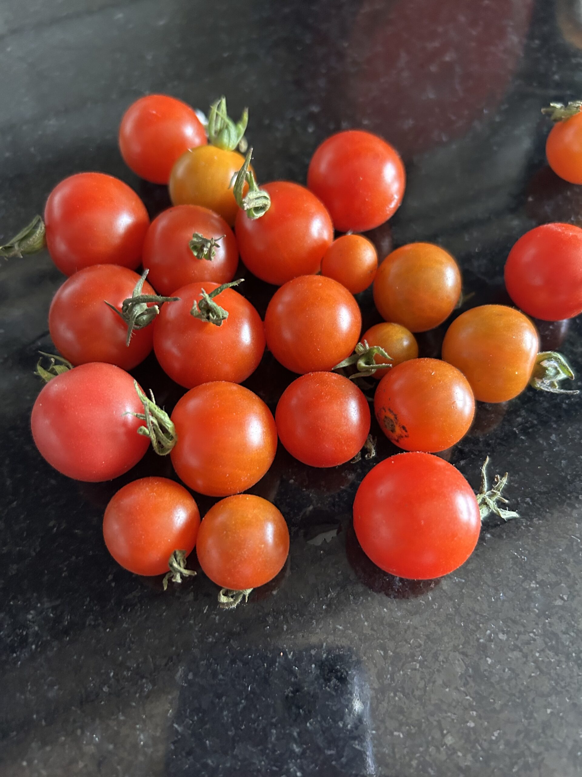 Organic Cherry Tomato Seeds