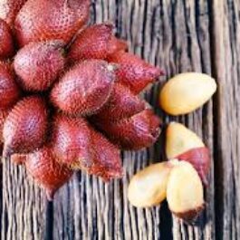 Salak/ Snake fruit plant